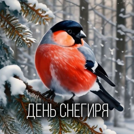 9 января - День снегиря. 9 января - День снегиря.